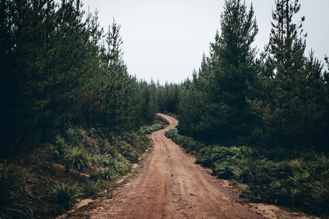 Gallery featured image